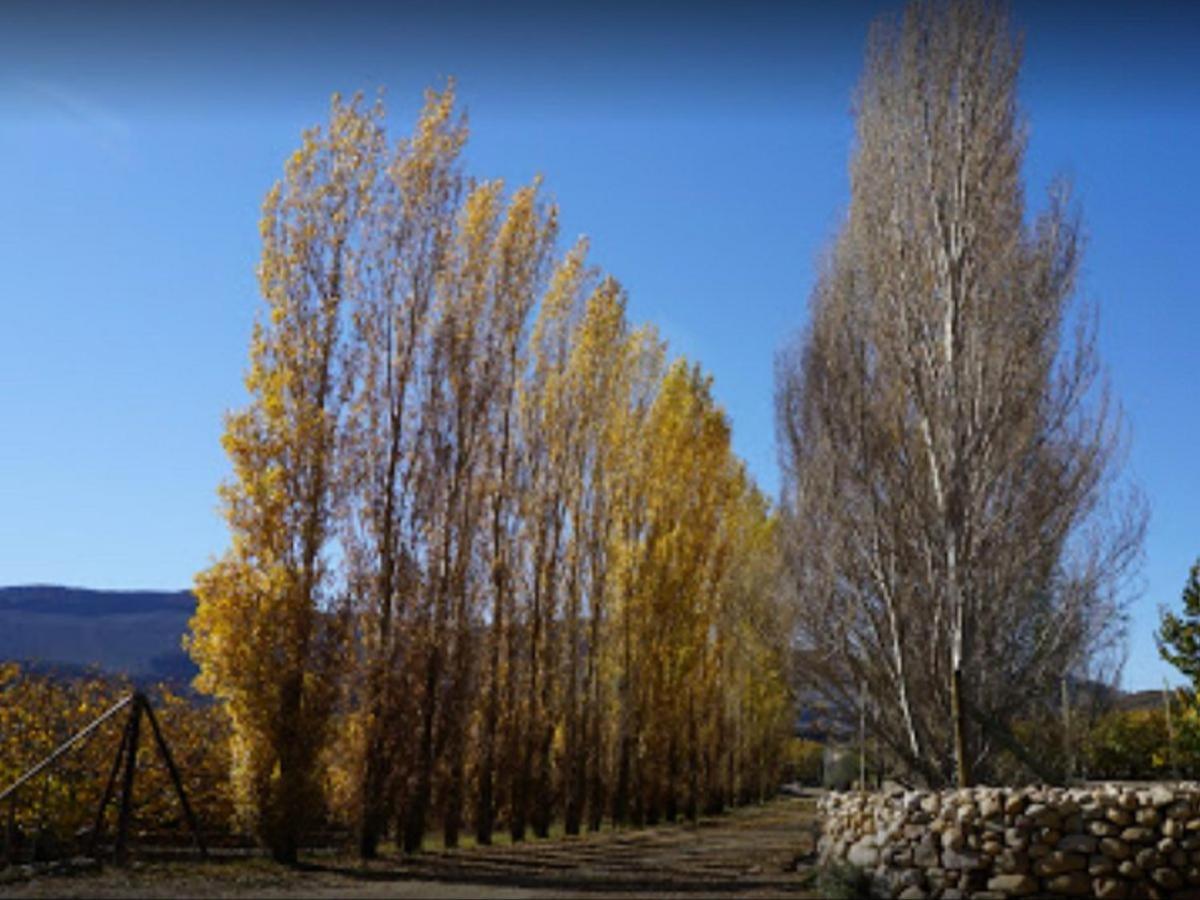 Apartamento Weltevrede Fig Farm Prince Albert Exterior foto